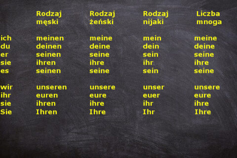 Zaimki Dzierżawcze W Bierniku | Niemiecki Da Się Lubić